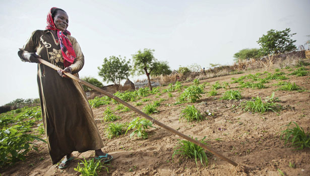 Africa's Coming Agricultural Revolution - The Atlantic