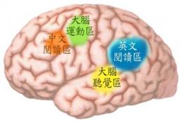 chinese_brain_characters.jpg