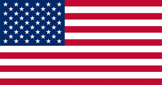 Flag_of_the_United_States.svg%201.png