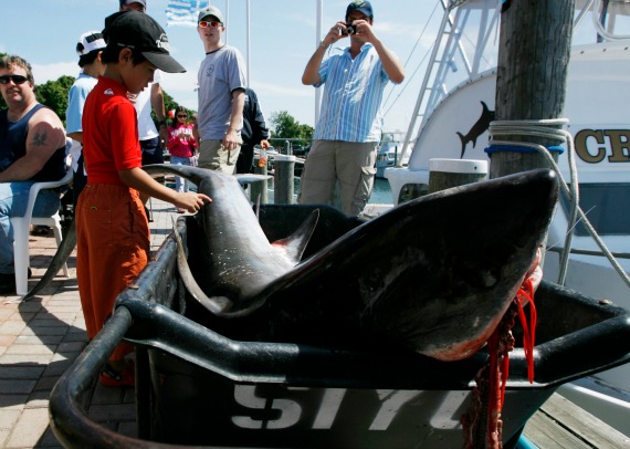 Artist hangs herself from hooks in protest at shark treatment