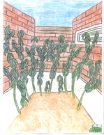 4-plants.jpg