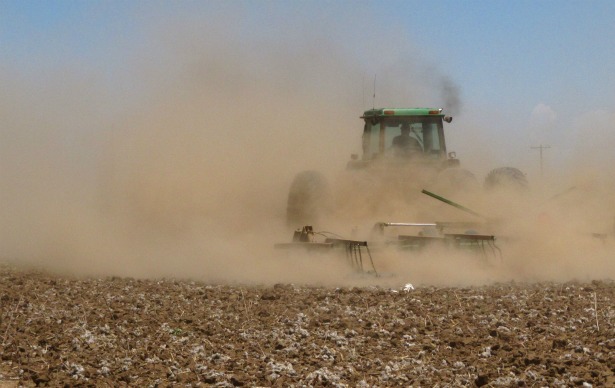 drought-AP PhotoBetsy Blaney.jpg