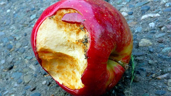 rotten apple.jpg