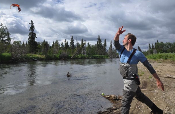 The Fascinating Life of an Alaska Salmon