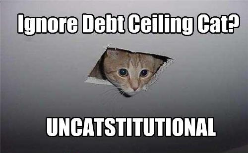 Debt Ceiling Cat.jpg