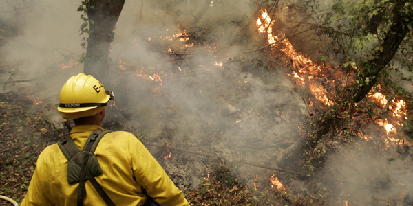 Forest fireman - Robert Galbraith Reuters - banner.jpg