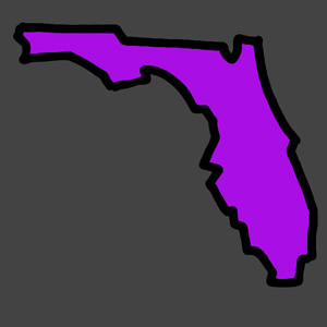 Florida Battleground Icon-300.jpg
