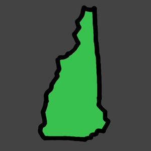 New Hampshire Battleground Icon-300.jpg
