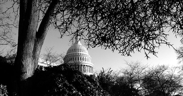 798px-Capitol_Building-615.jpg