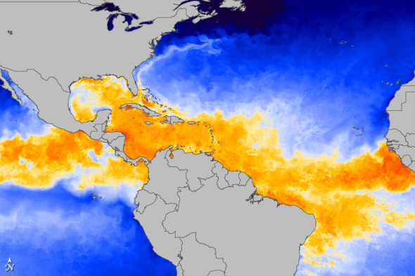 Sea Surface Temperatures at the Start of 2010 Hurricane Season