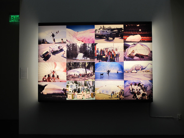 antfarm_photos.jpg