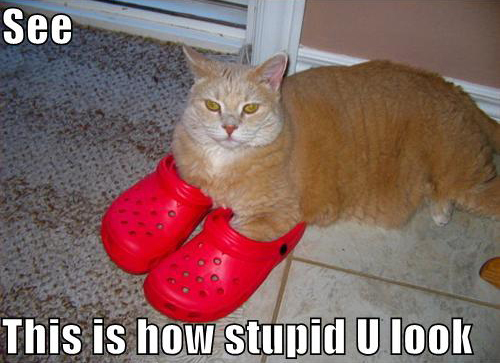 lolcat-crocs.jpg