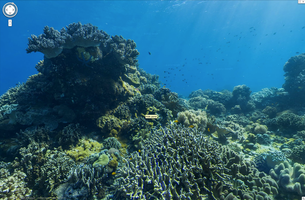 Google Takes Street View Into the Oceans - The Atlantic