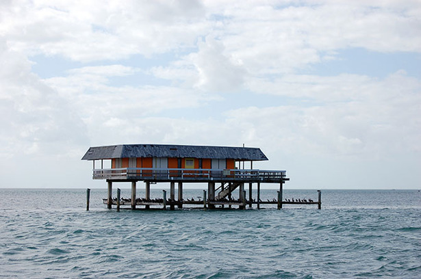 Welcome to Stiltsville, a Curious Collection of 7 Houses a Mile Off the  Florida Coast - The Atlantic