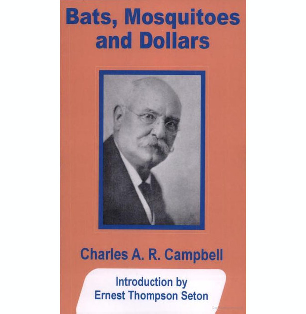 Bats Dollars and Mosquitoes.jpg