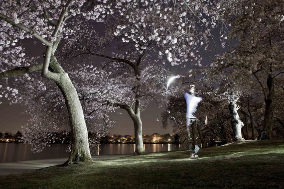 Gorgeous 'Light Paintings' of D.C.'s Cherry Blossoms at Night - The ...