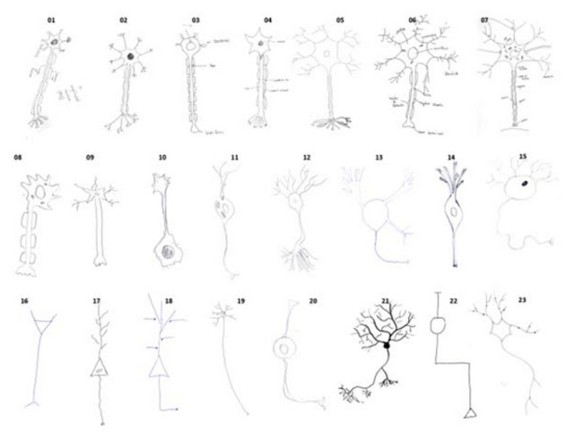 Curious Neuron sketch  The Neuron Family  Facebook