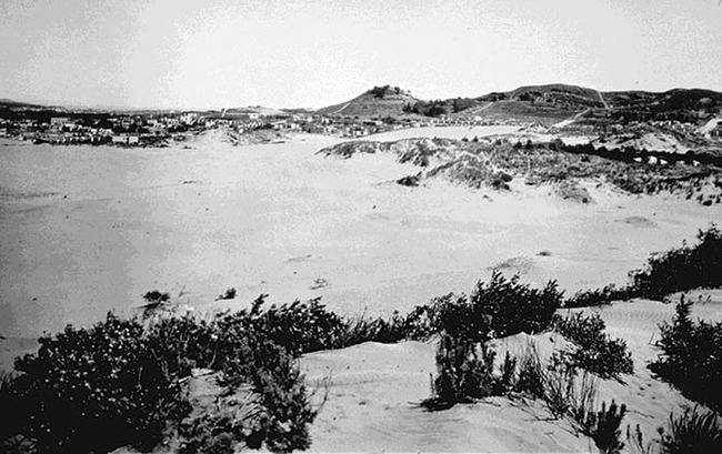 Richmond dunes 1890s 670.jpg
