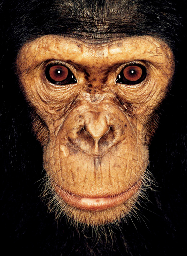 Women Who Look Like Apes