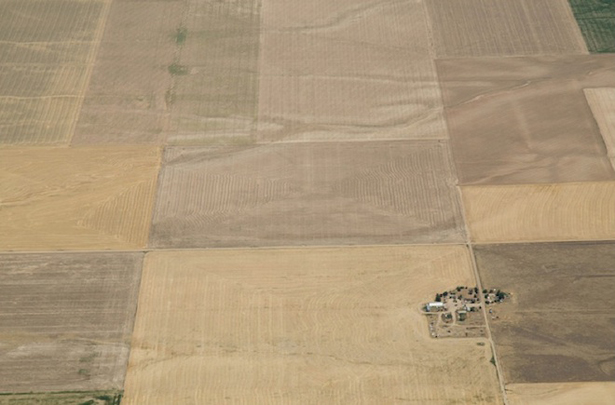 drought_farm.jpg