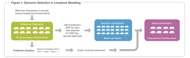 The Perfect Milk Machine: How Big Data Transformed the Dairy Industry ...