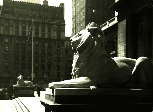 The New York Public Library's Animated GIF Maker - The Atlantic
