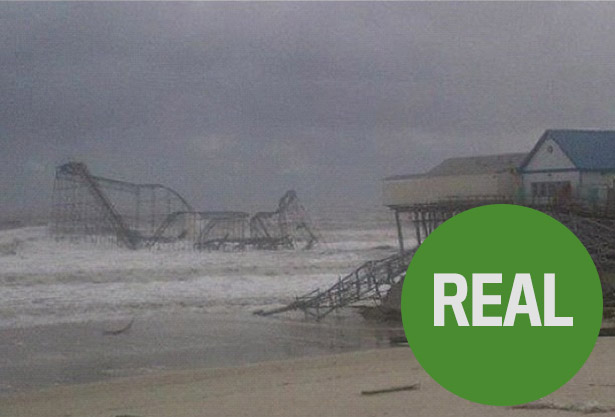 Fake Hurricane Sandy shark photo migrates to Chinese web