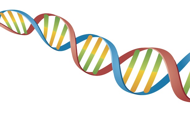 real human dna strand