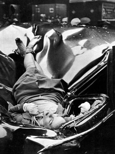 Evelynmchale