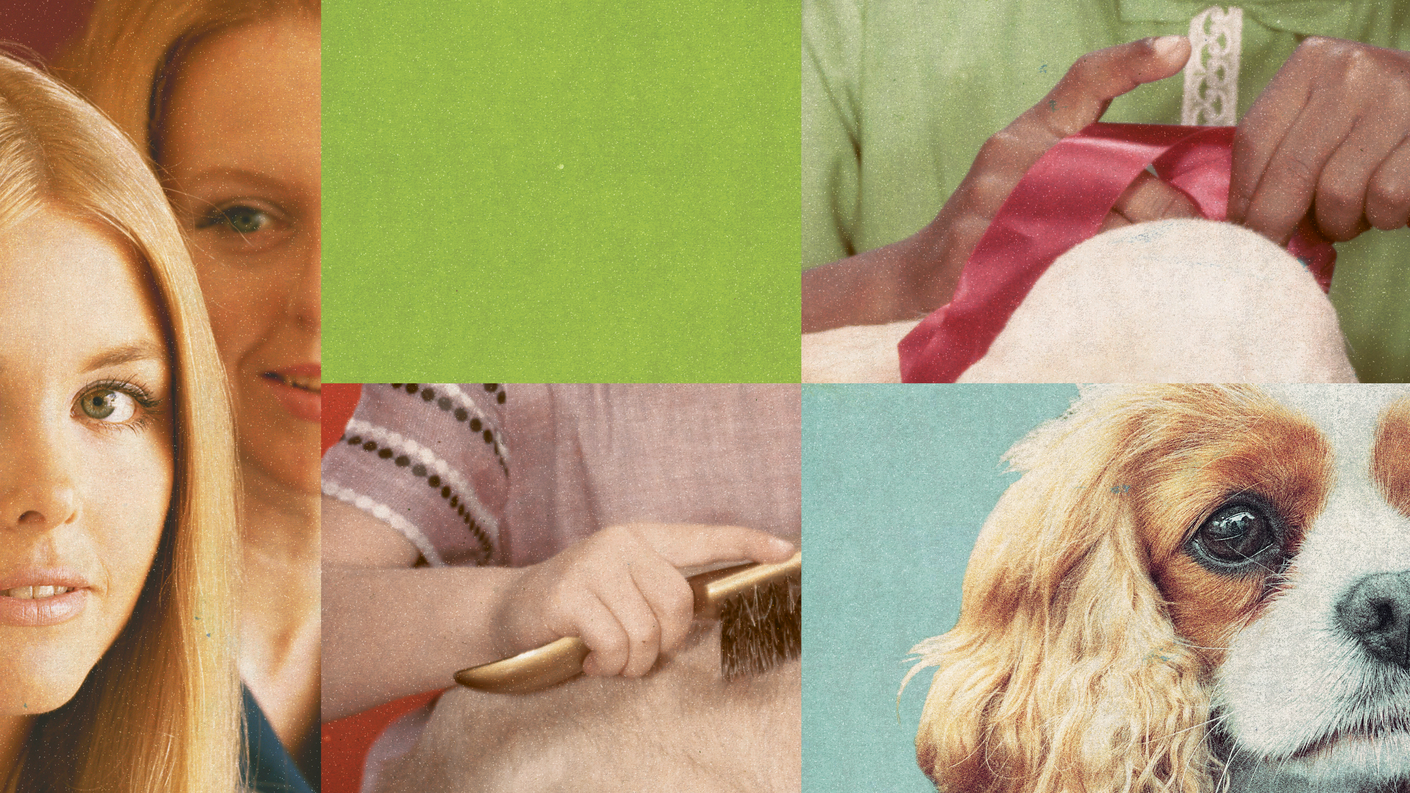 A collage of images showing two girls, a dog, and hands holding a brush