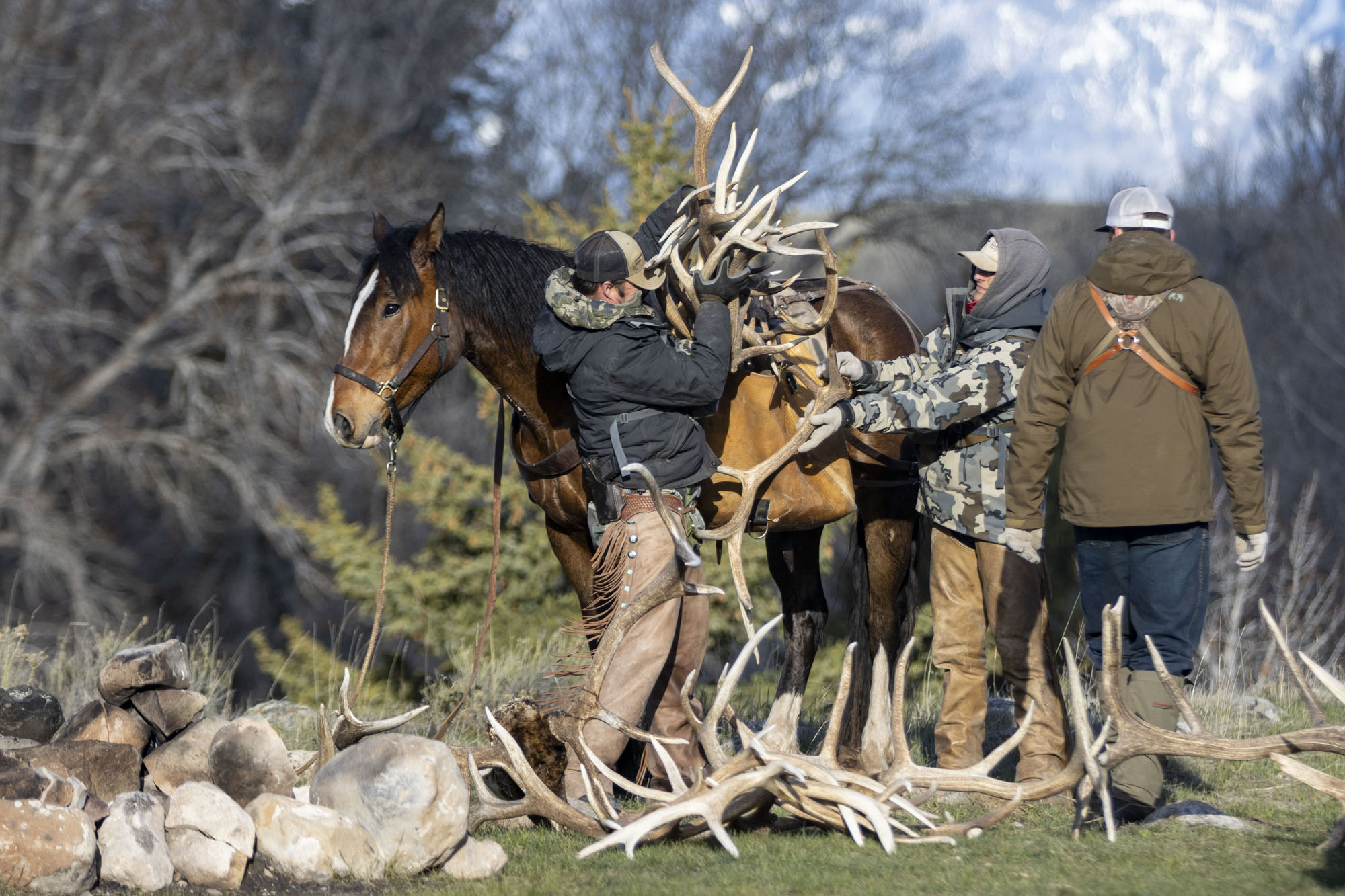 Shed hunters unpack their haul on the opening day of the Wyoming shed-hunt season.
