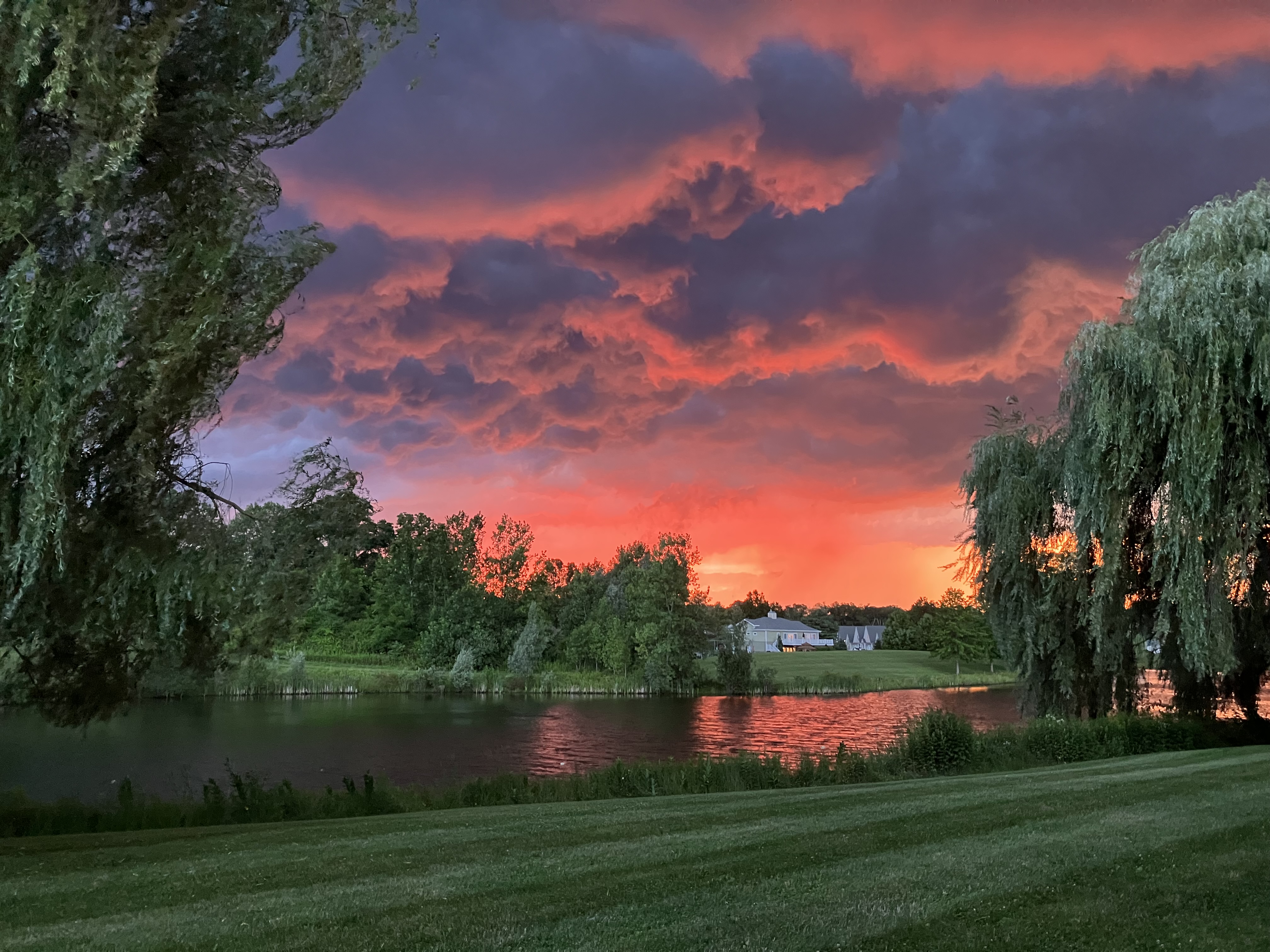 A pink sky