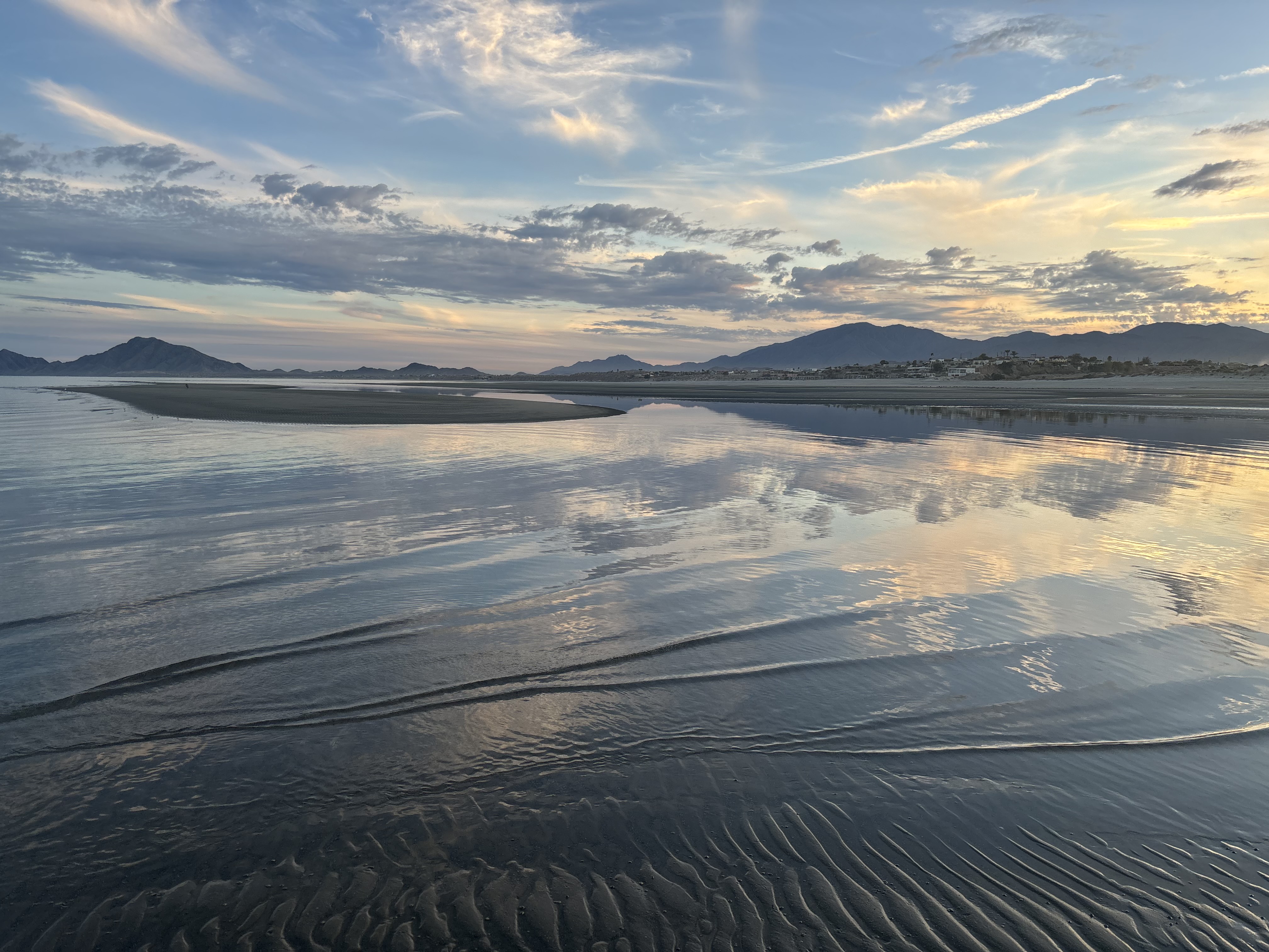 Image of the sea at low tide