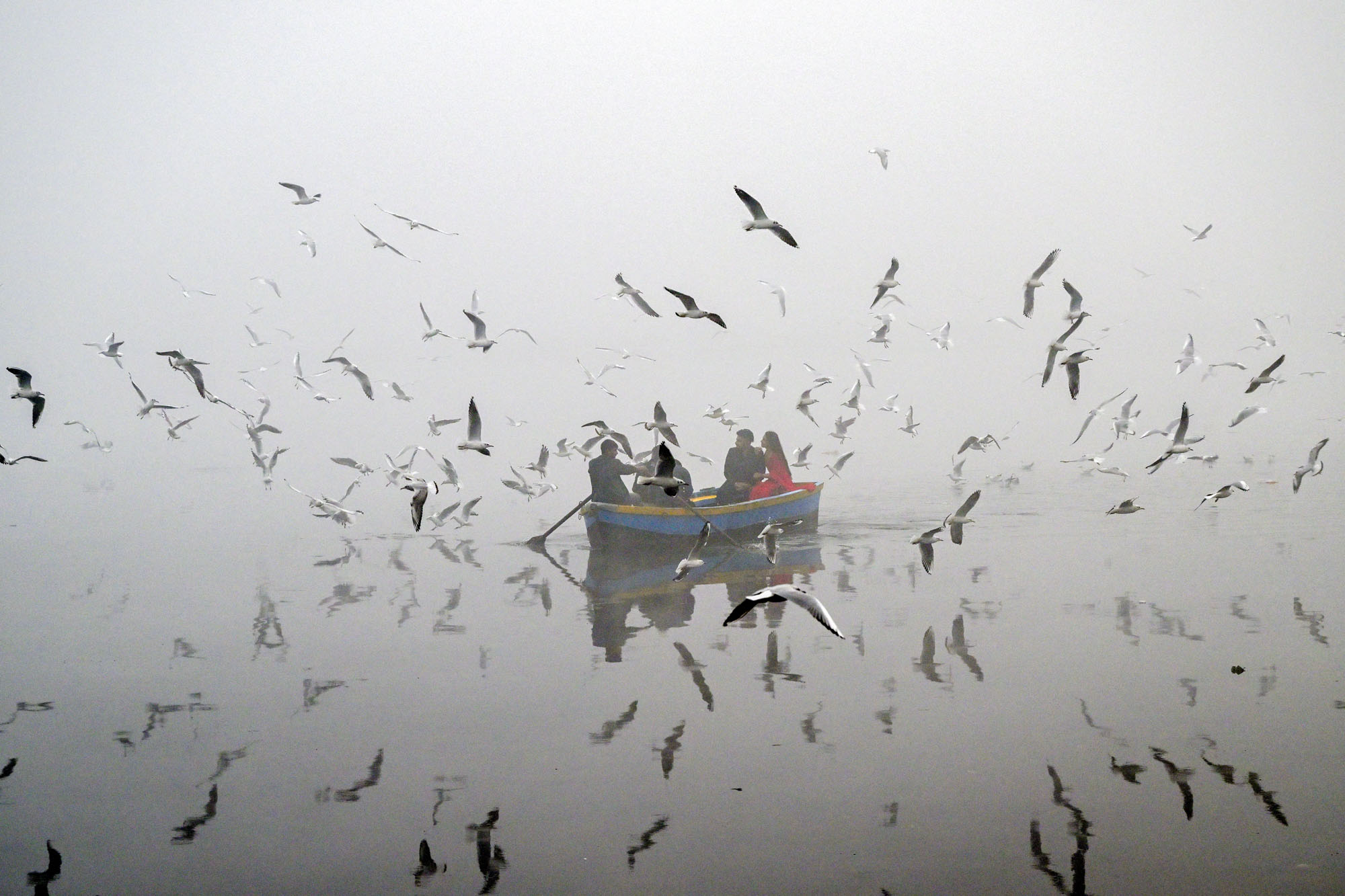 People feed seagulls in the Yamuna River, engulfed in smog, in New Delhi, India.