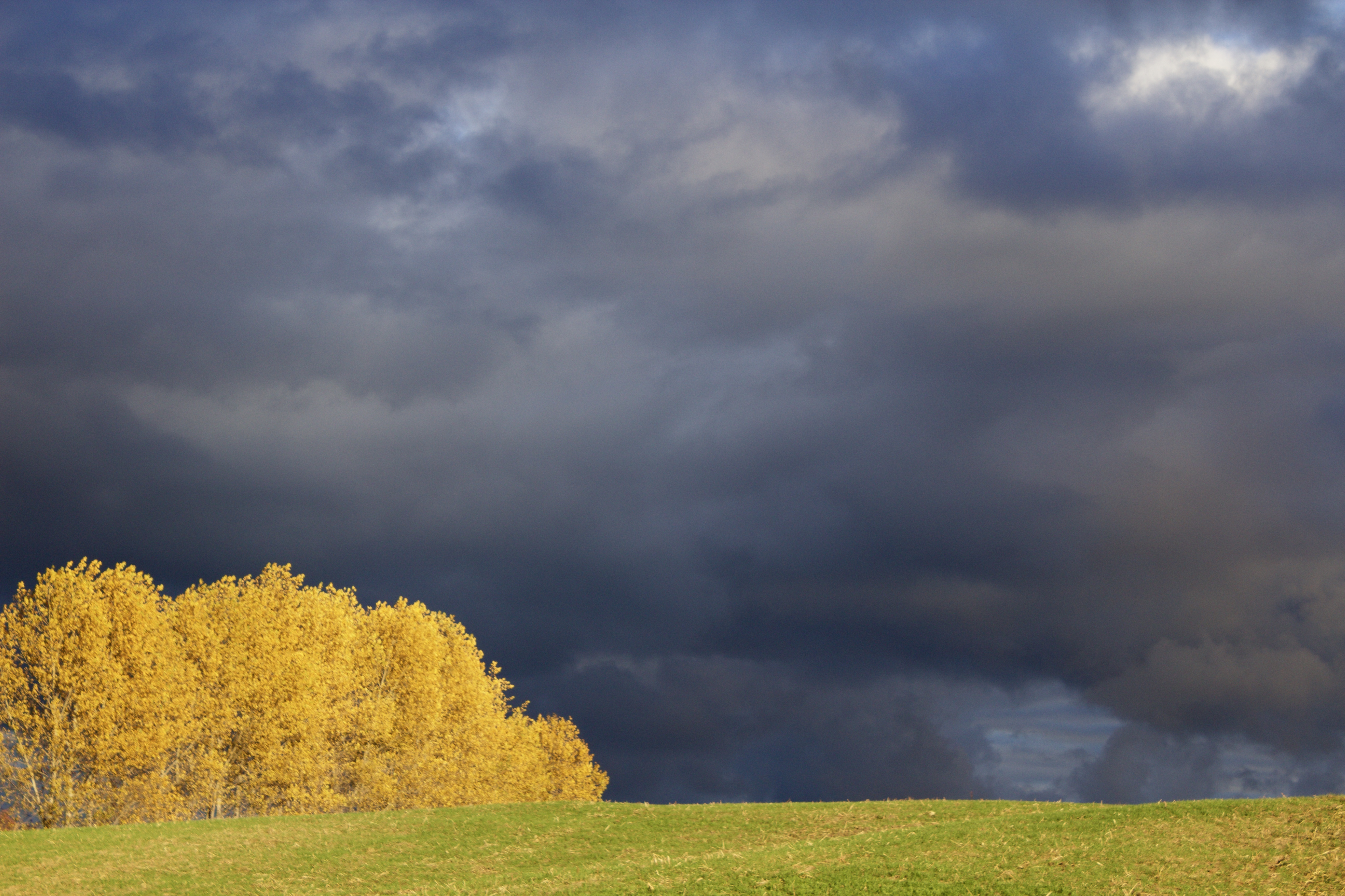 A sky overlooking a field