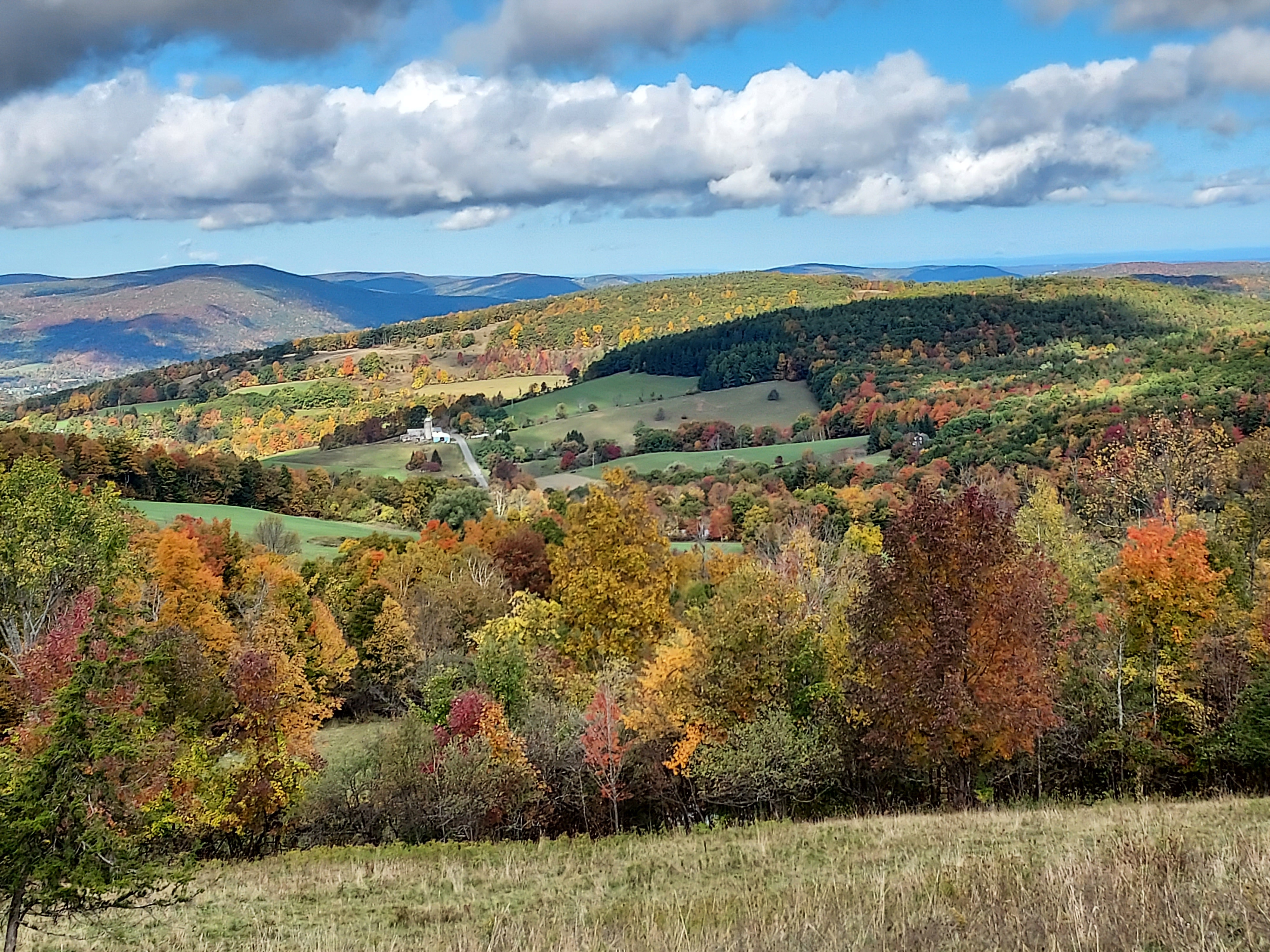 Mountains and trees with foliage