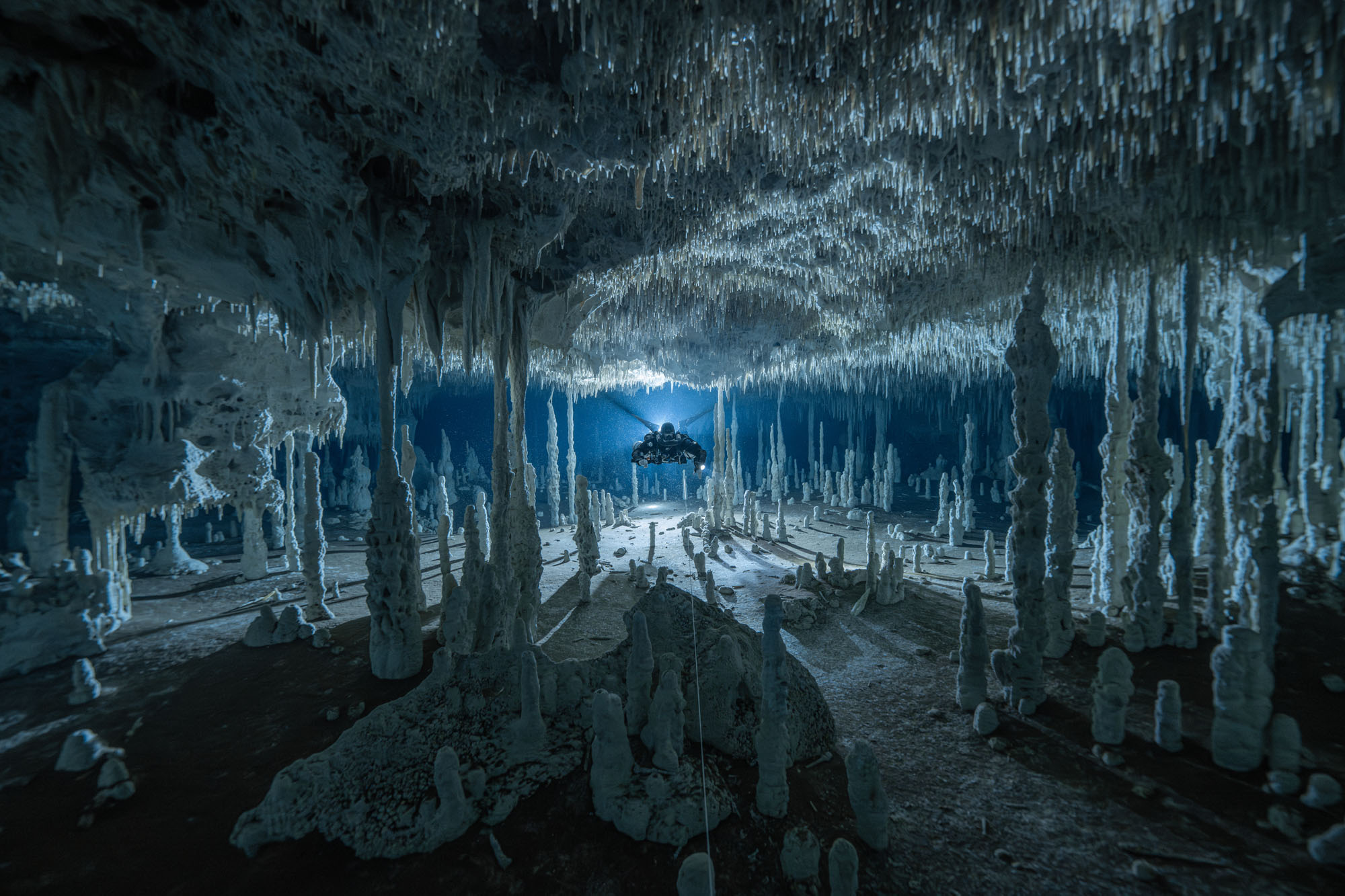 A diver explores an underwater cave in the Yucatán Peninsula. (Alvaro Herrero [Mekan] / UPY2025)