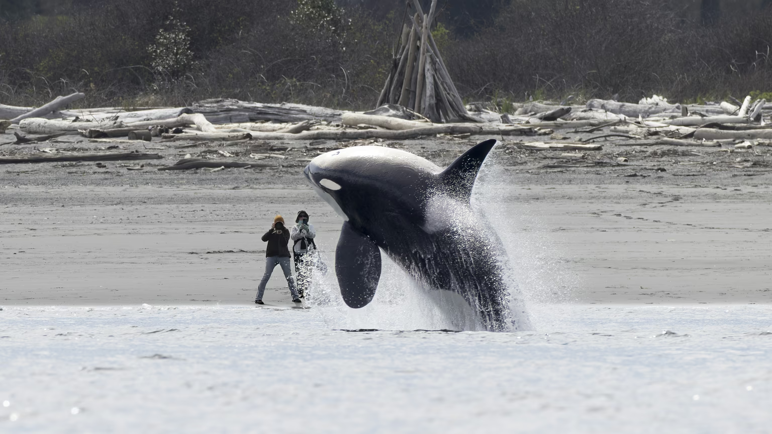 Ocean Photographer of the Year finalist