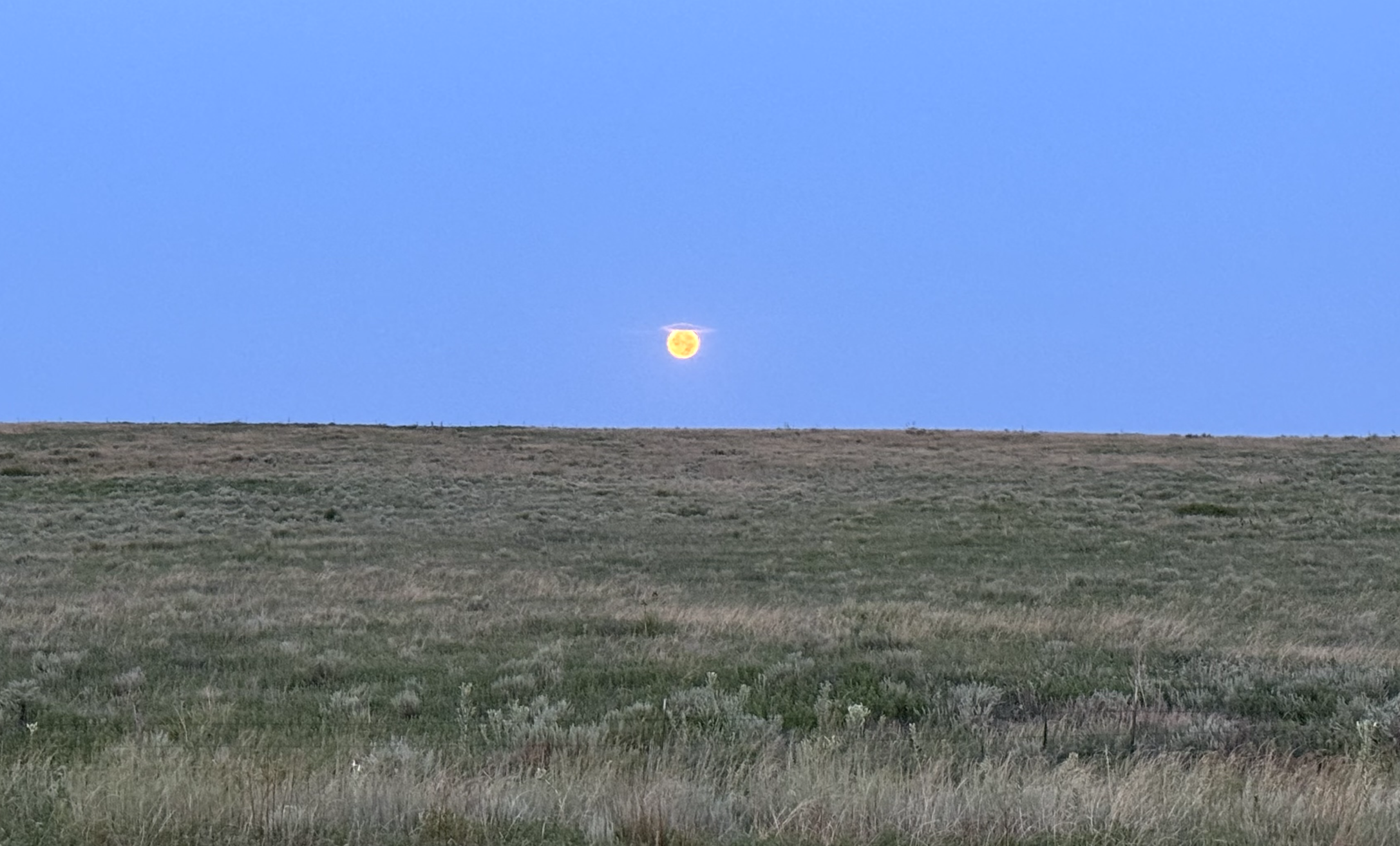 A blue sky with the moon visible with a halo around it