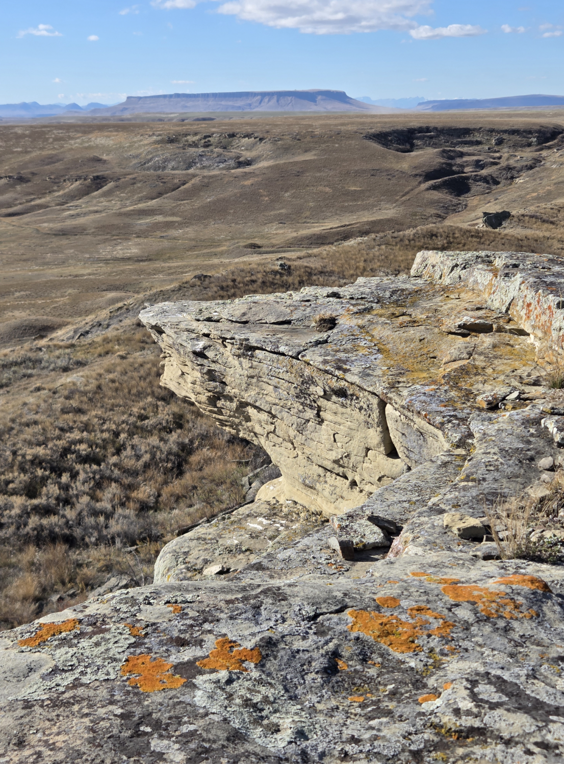 The view from First People’s Buffalo Jump park