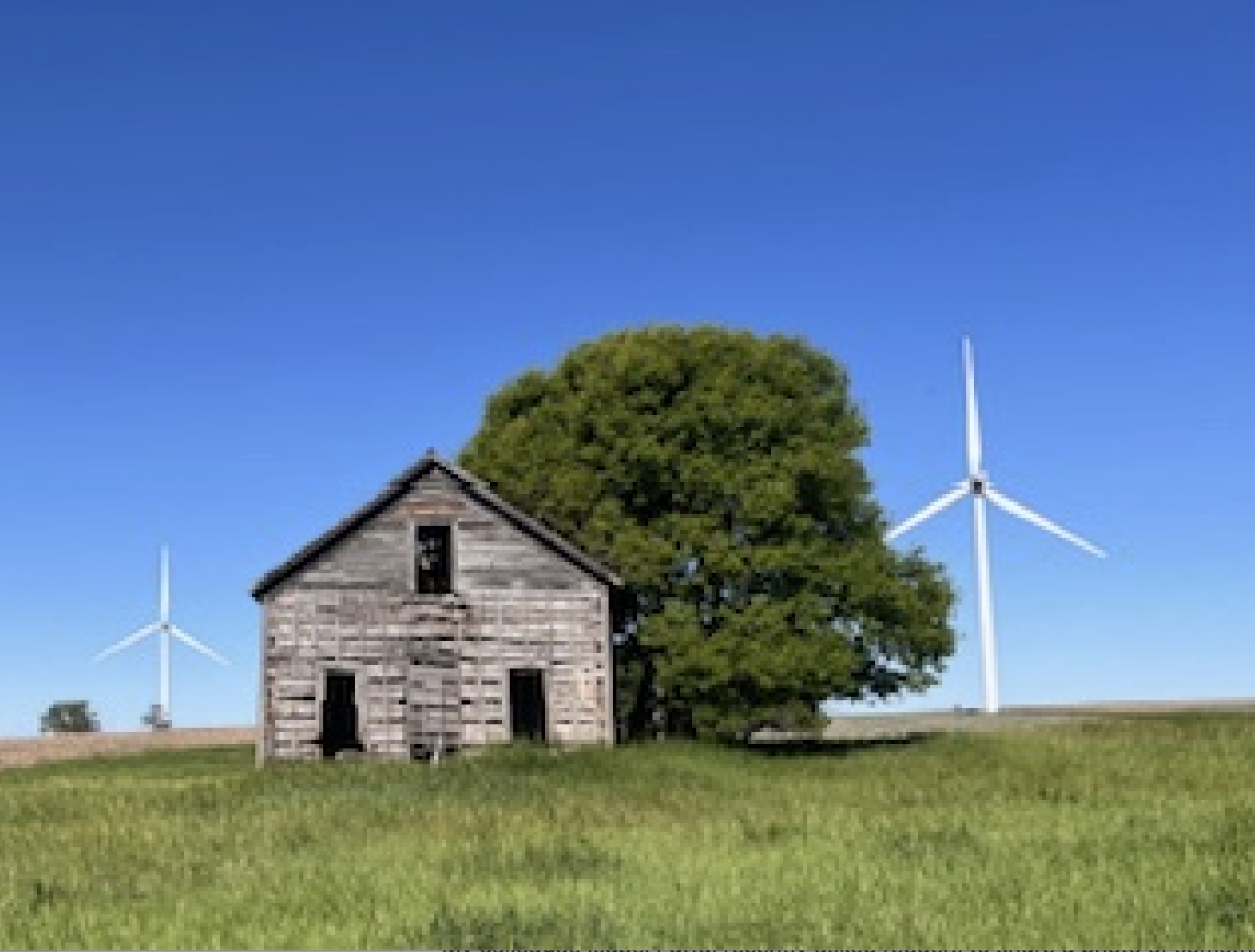 Cómo algunas personas se volvieron tan adversas al bombo