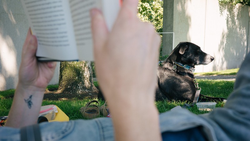 Hands holding a book outside in front of a dog
