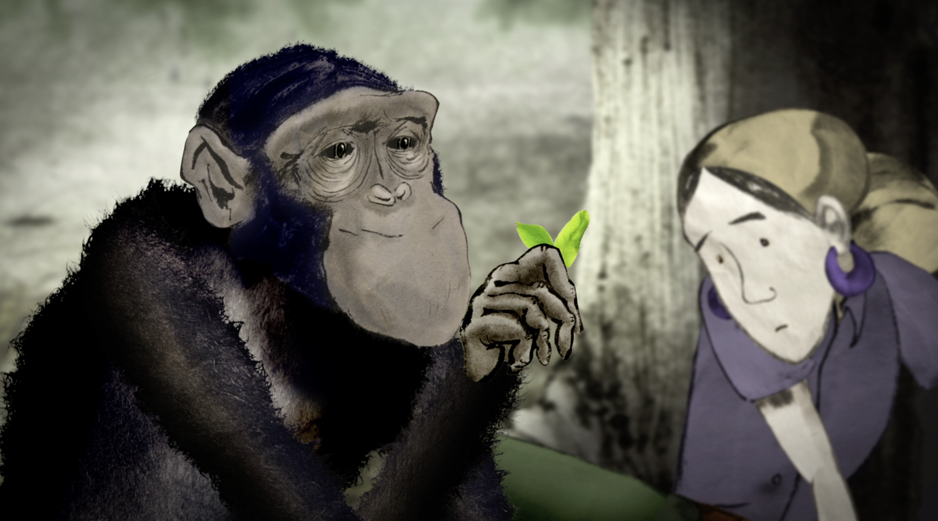 Slør På hovedet af Løs Lucy,' the Chimpanzee Who Was Raised Human: Janis Carter and Elisa Chee -  The Atlantic