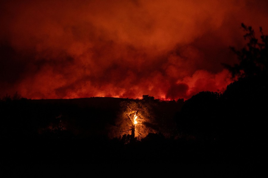 A tree burns as flames and smoke rise in the distance, beyond a hill, at night.