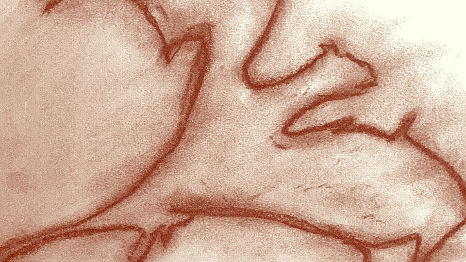 illustration of reddish sketched outline of dragon in flight
