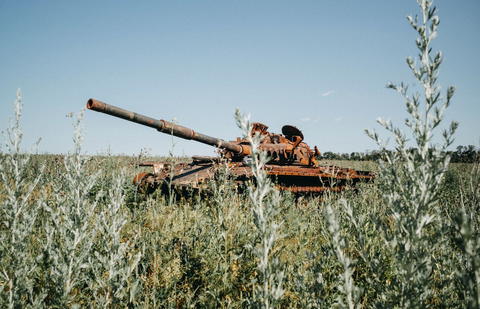 A destroyed Russian tank rusts in a field.
