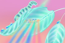 Illustration showing a leaf iluminated by a godly light