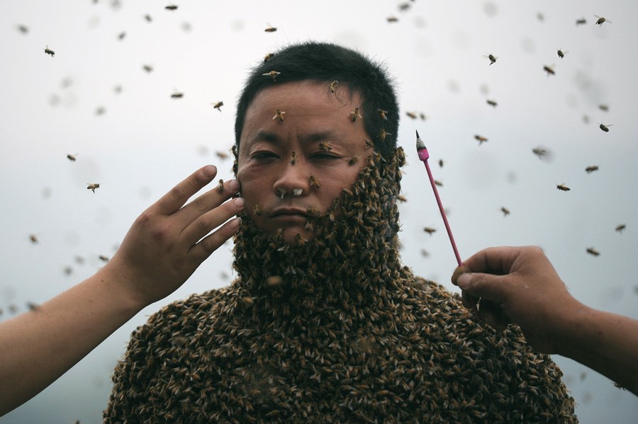 A Hundred Pound Suit Of Bees The Atlantic