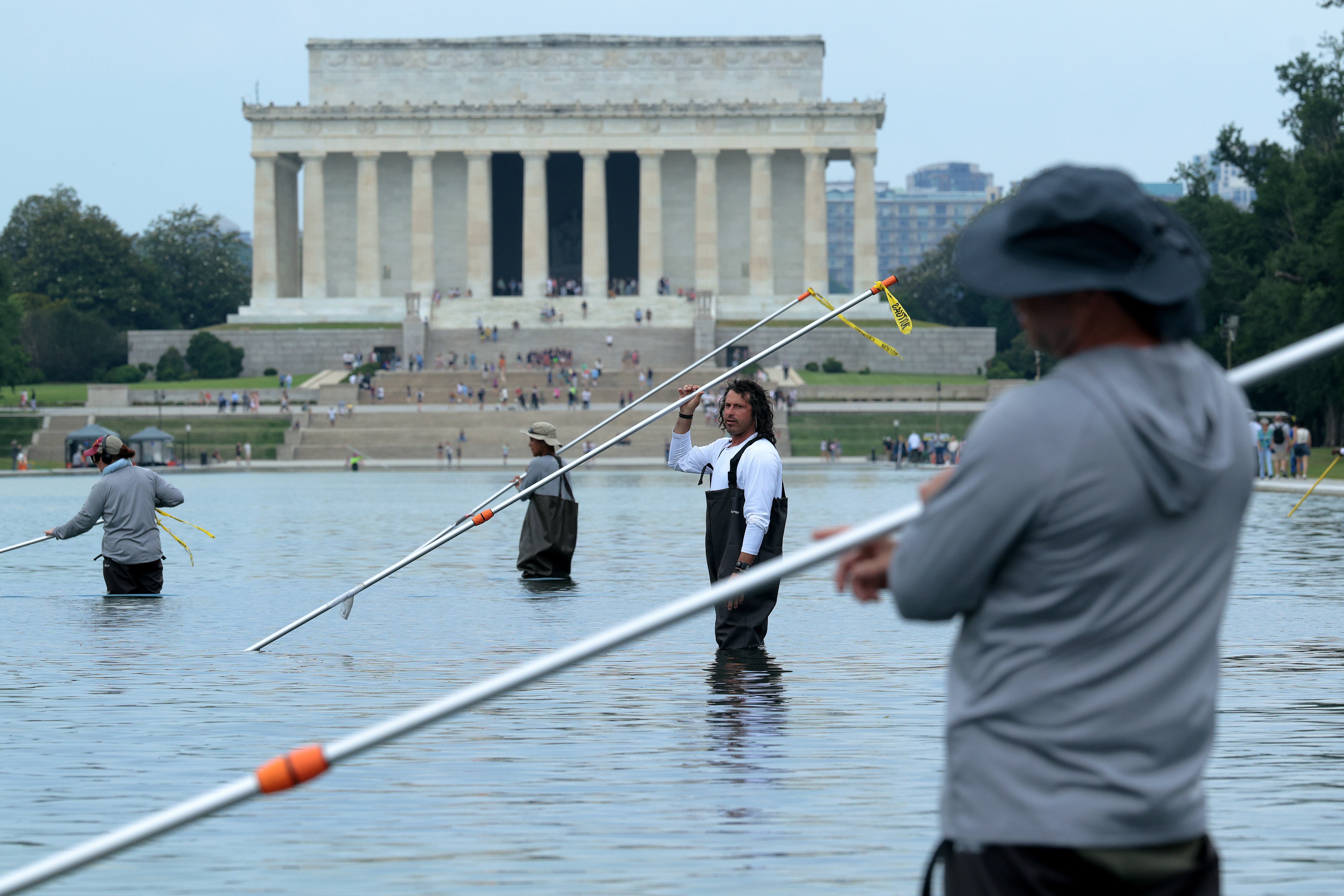 Several people use vacuums to remove green algae from the bottom of the Lincoln Memorial Reflecting Pool.