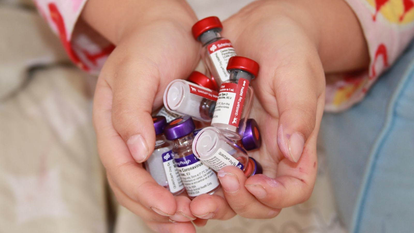 Da2ppl vaccine outlet